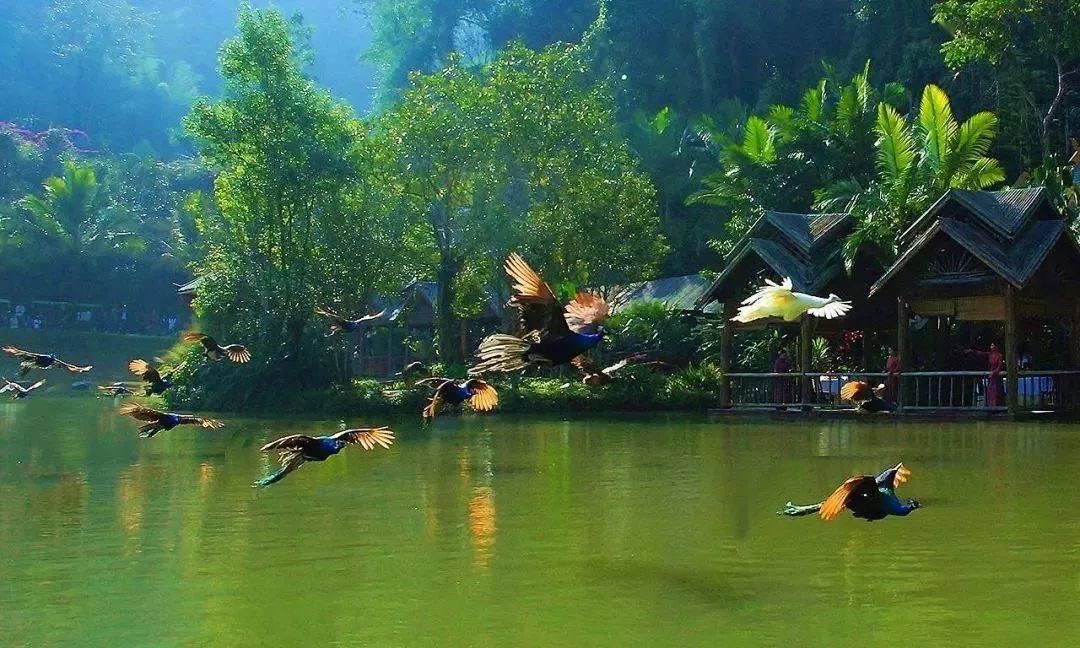 召唤神龙万宁版祖龙